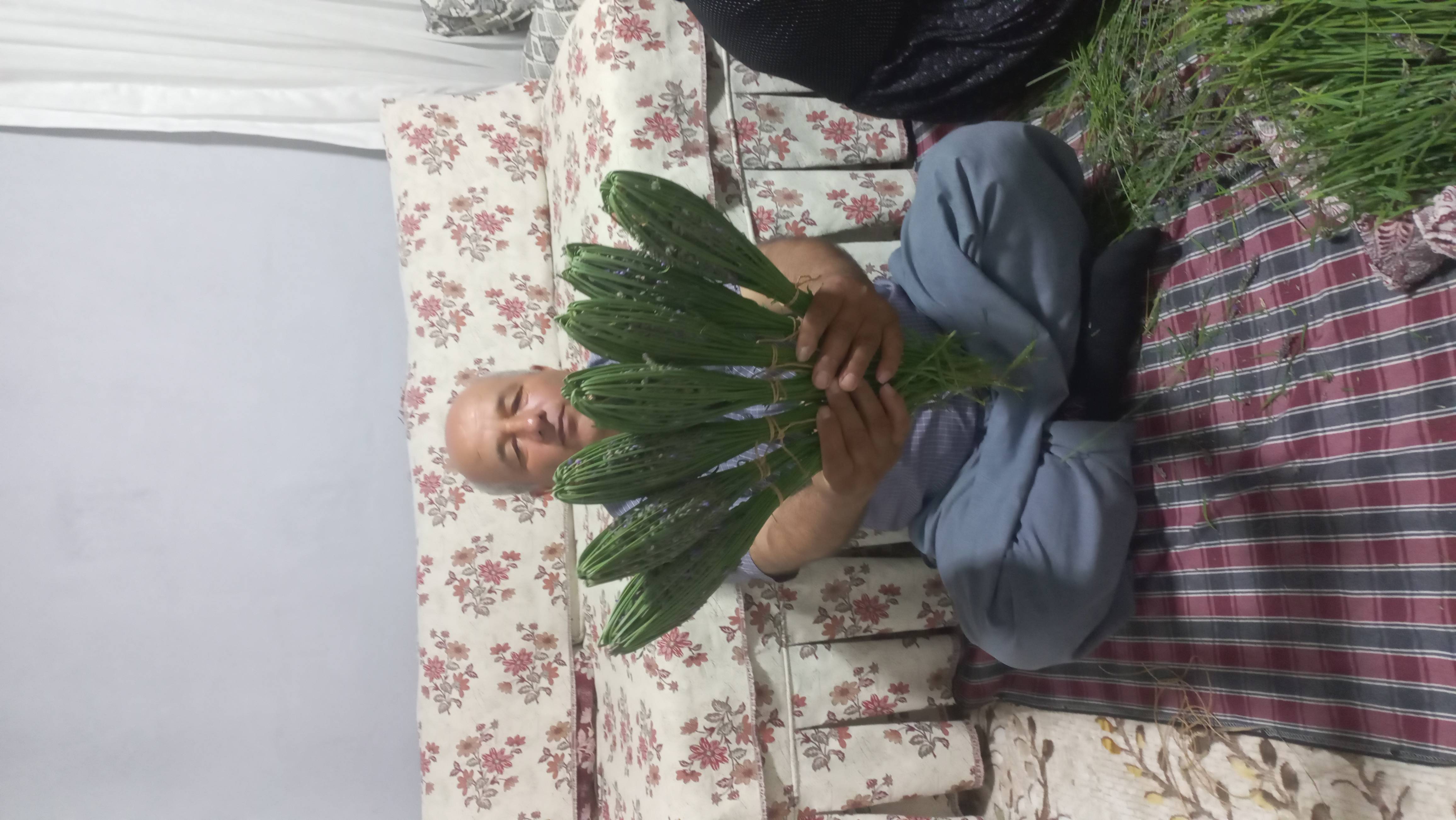 örgülü Lavanta Demeti 